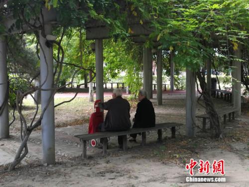 资料图 <a target='_blank' href='http://www.chinanews.com/' >中新网</a>记者 张尼 摄