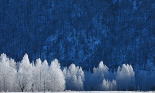 感受冰雪情韵？当属“神州北极”漠河