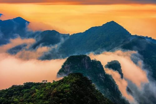 花芬芳，水清凉，“绿野仙踪”在海南