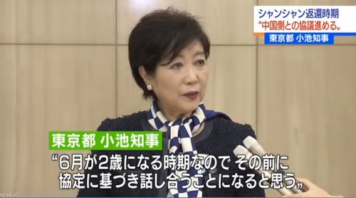 熊猫香香今年就要归还中国了 日本：想商量下延期