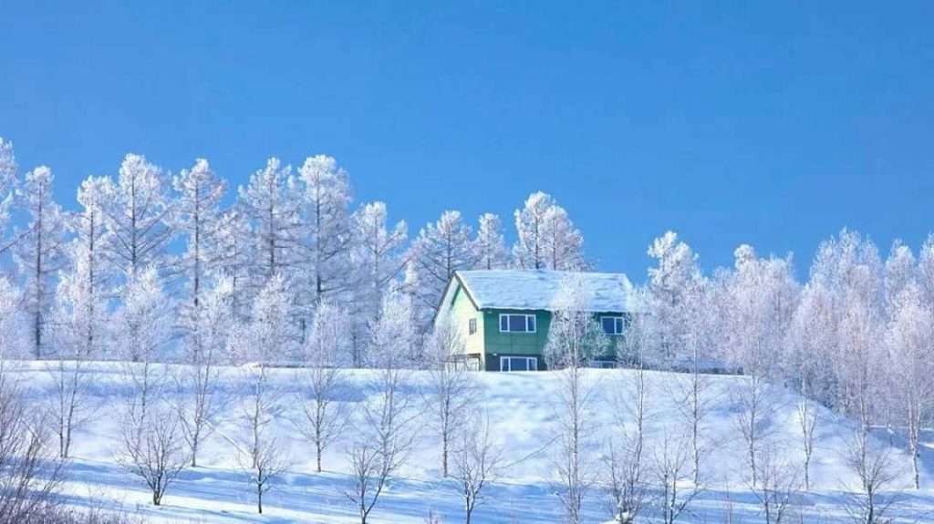 最美冬天！打卡全球最佳雪景地