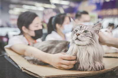 广州会展业全面复苏 