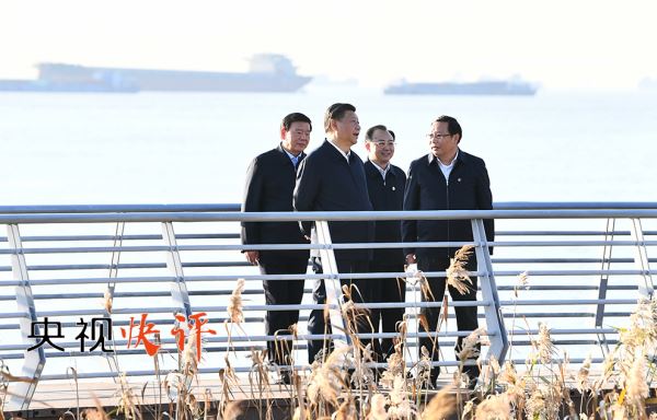 【央视快评】打造区域协调发展新样板