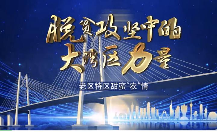 脱贫攻坚｜老区的这份甜蜜事业有你“圳”好