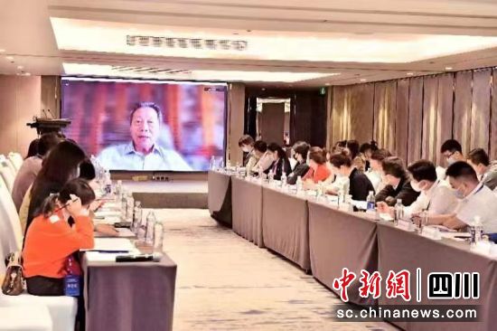 中国会展经济研究会学术指导委员会主任、原中国会展经济研究会会长袁再青视频致辞。