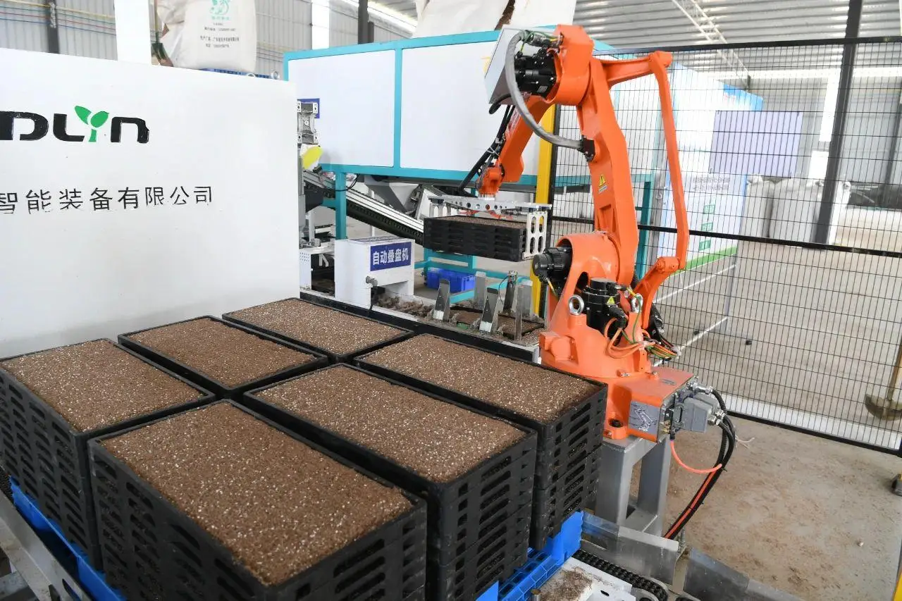 【大美广东】Mechanical Arms for Rice Seedling Cultivation, Drones Sowing in the Fields: Yangchun's Spring Farming Overflowing with Technology  机械臂育秧、无人机下田，阳春春耕满满“科技范”