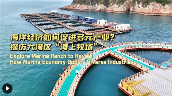 Explore Marine Ranch to Reveal How Marine Economy Boosts Diverse Industries