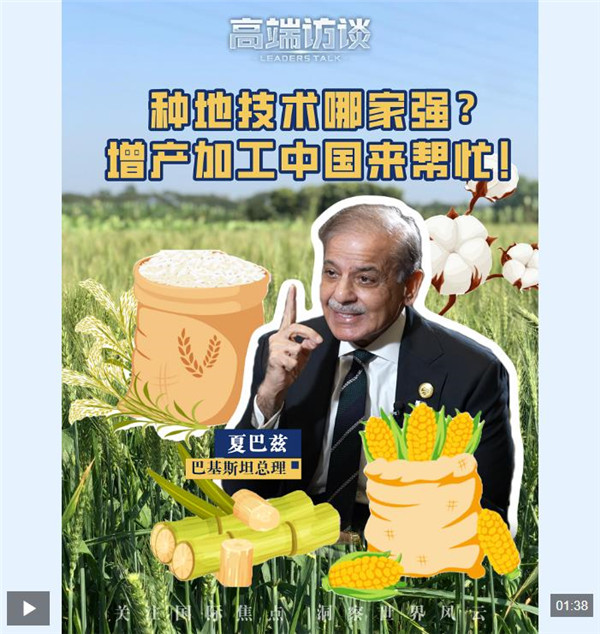 高端访谈丨巴基斯坦学员来华学了啥？夏巴兹总理揭秘