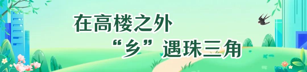 粤西向海，绘就湛蓝新画卷