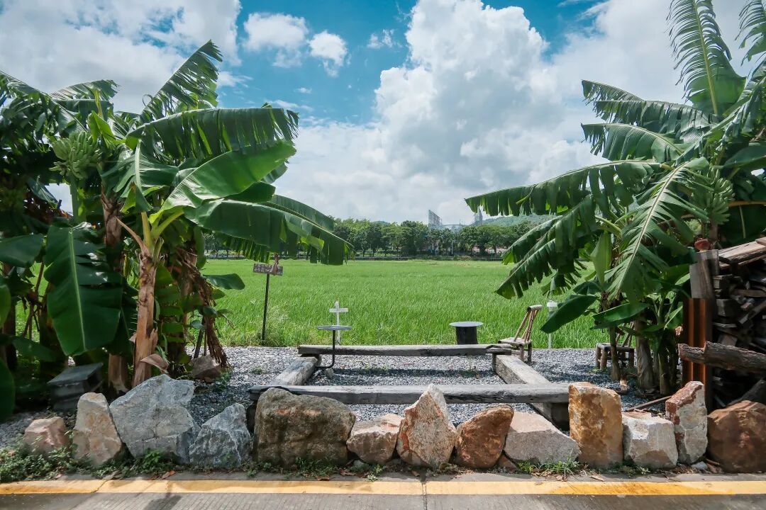 乡土里的情绪经济：文旅新业态改写珠三角县域经济