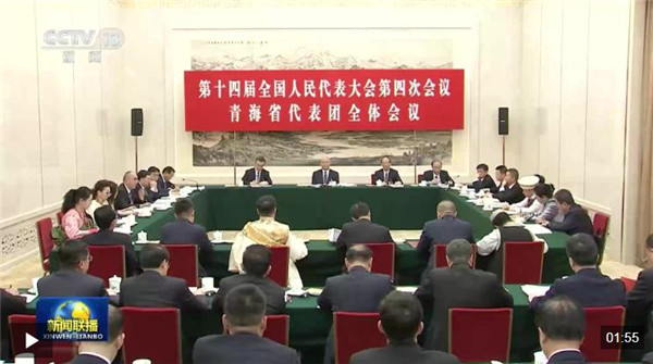 蔡奇参加青海代表团审议