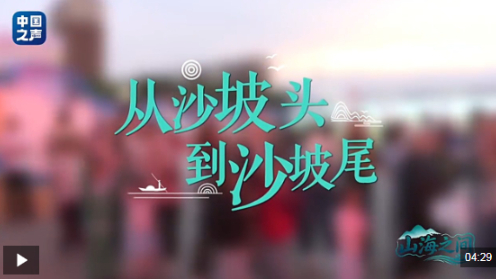 山海之间︱从沙坡头到沙坡尾